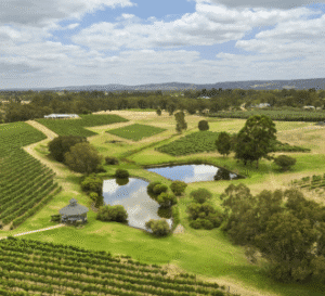 Swan Valley Wineries